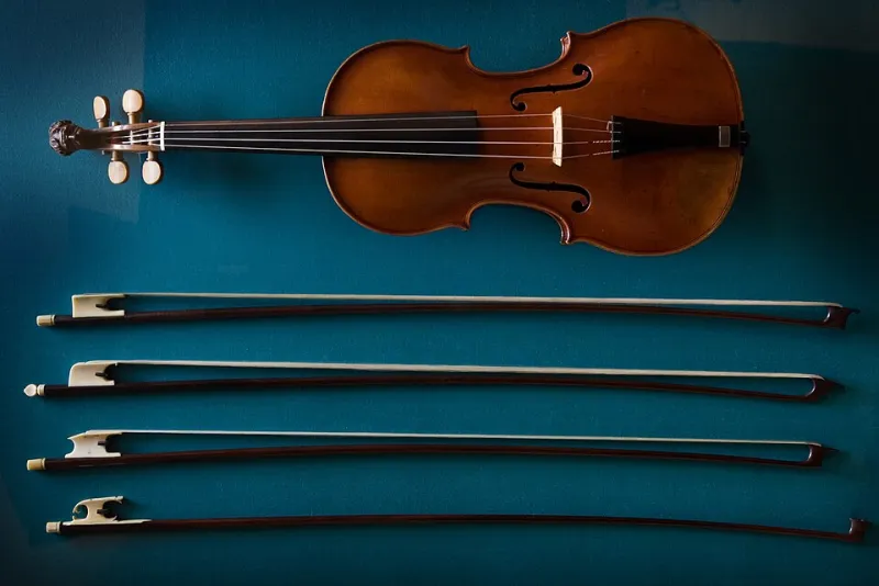 Weight, Balance, and Wood: Reading a Bow Before You Ever Draw a Sound