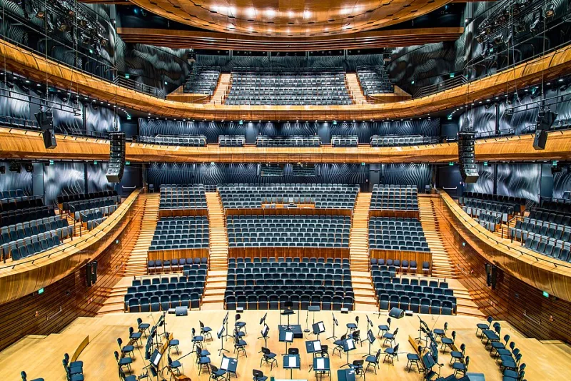 Where the Violin Blooms: A Violinist's Guide to Choosing Your Seat in the American Concert Hall